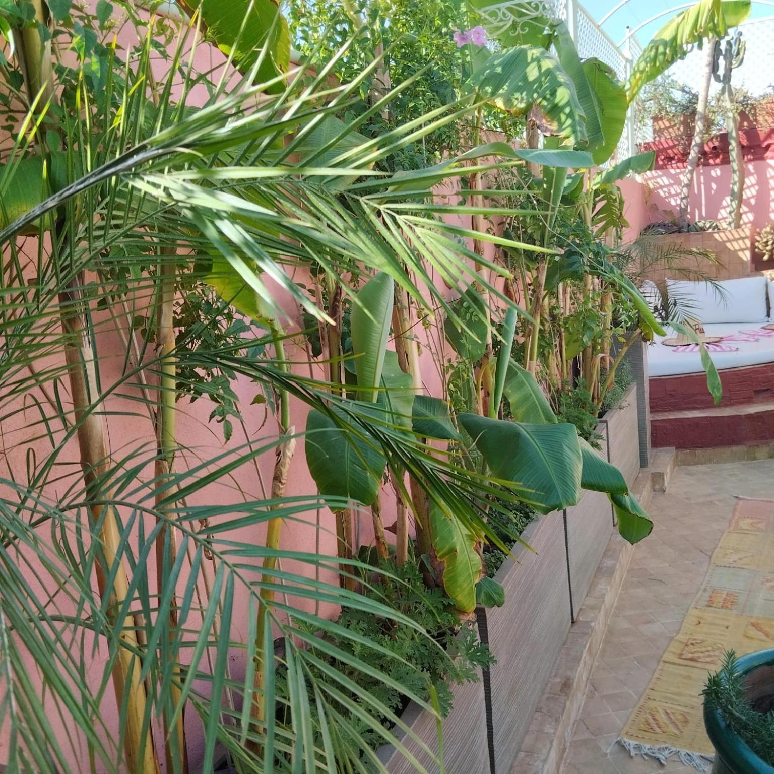 מרקש Riad Laith (Adults Only) מראה חיצוני תמונה
