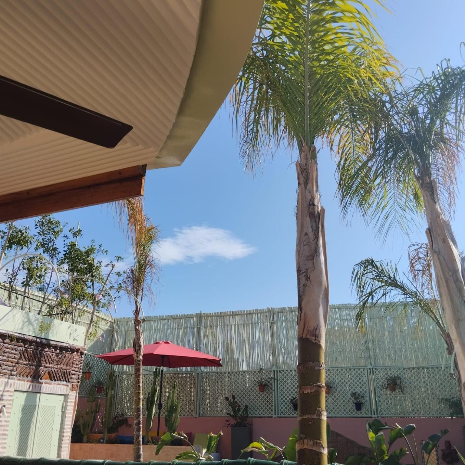 מרקש Riad Laith (Adults Only) מראה חיצוני תמונה