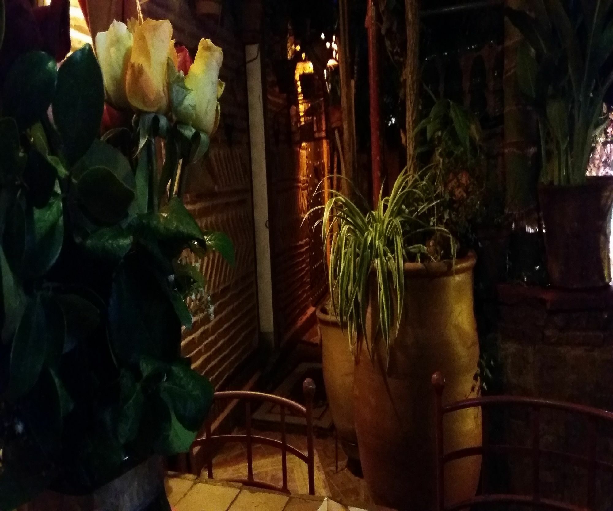 מרקש Riad Laith (Adults Only) מראה חיצוני תמונה